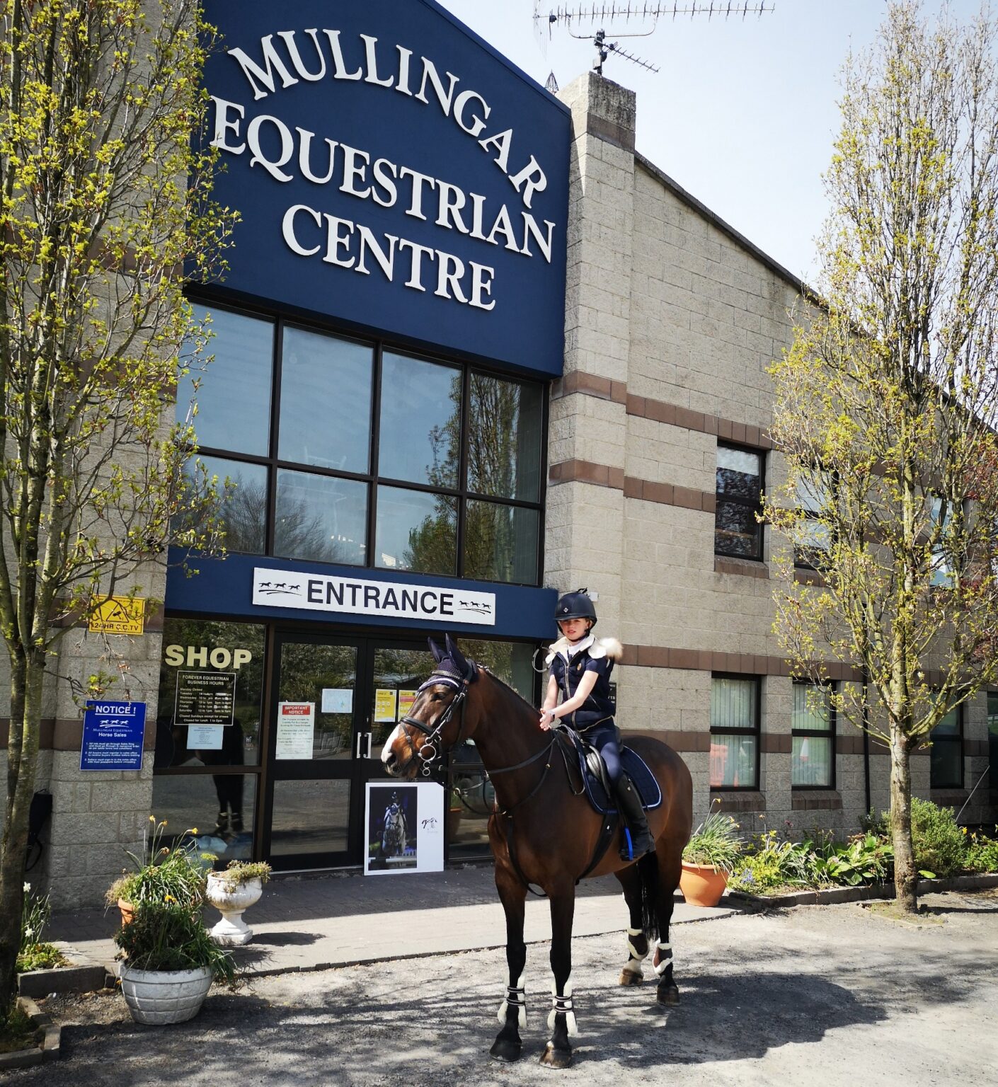 News Mullingar Equestrian