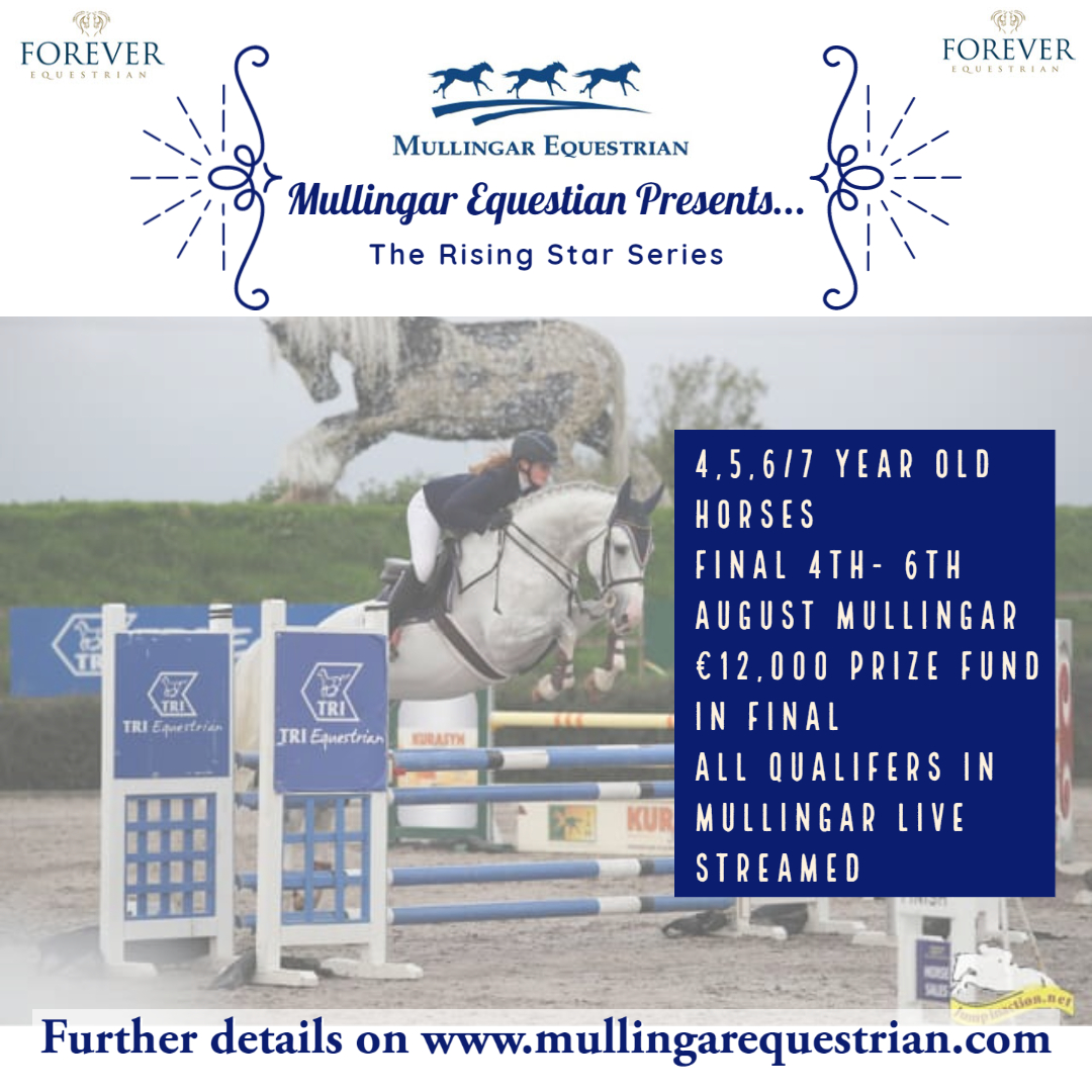 Mullingar Rising Stars Young horse Series