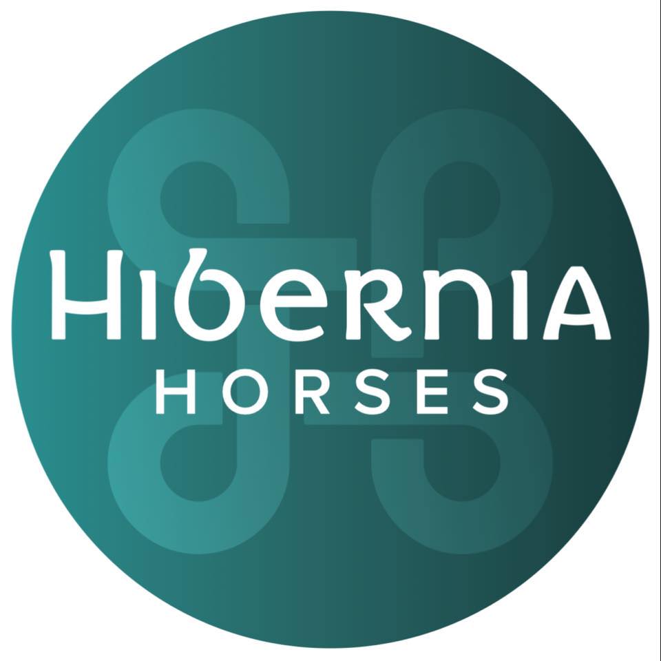 Hibernia Horses